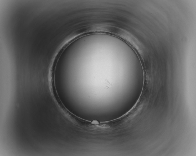 X0000102271133200807251344