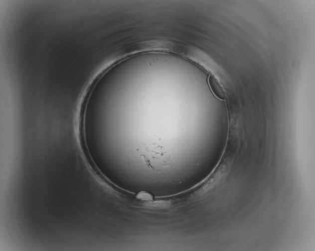 X0000102271135200807251344