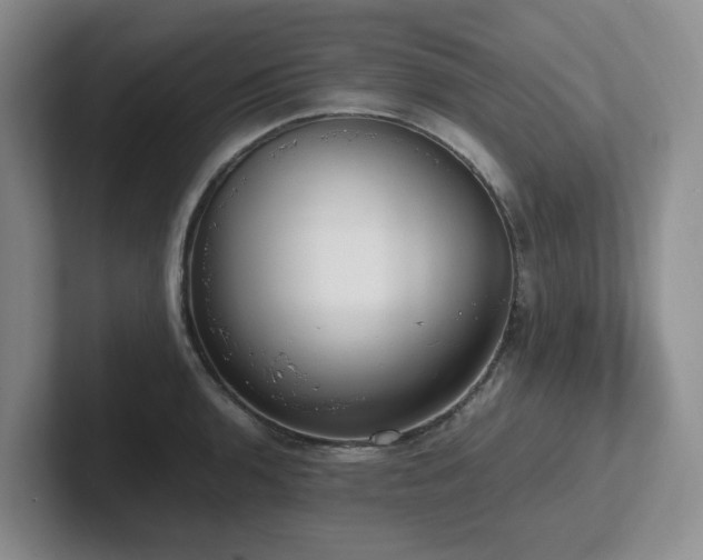 X0000102271136200807251344