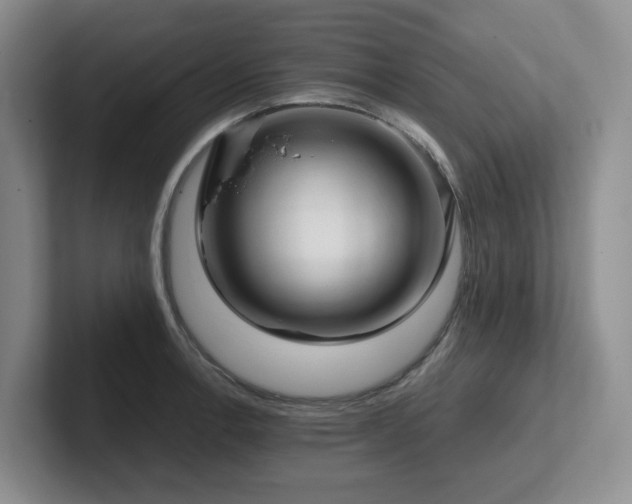 X0000102271138200807251344