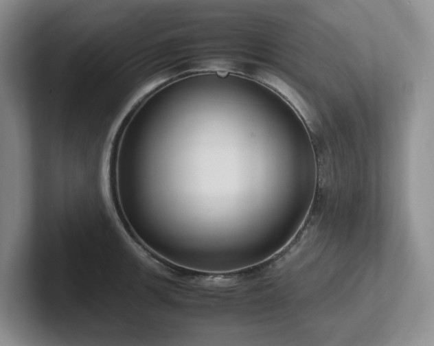 X0000102271139200807251344