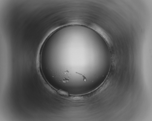 X0000102271140200807251344