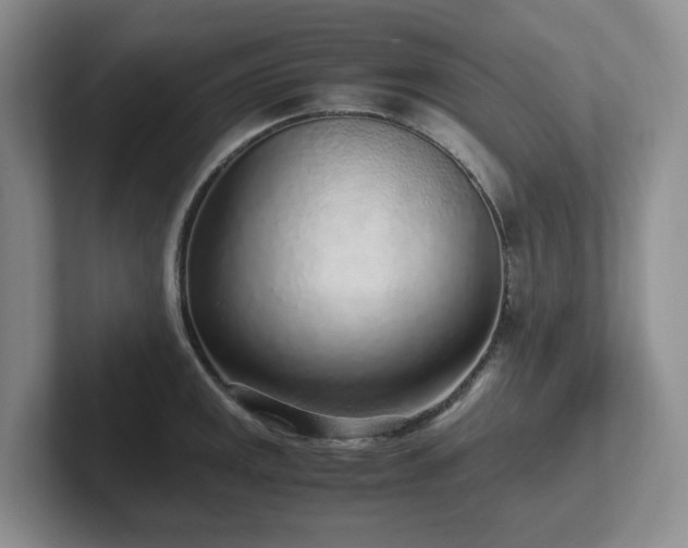 X0000102271141200807251344