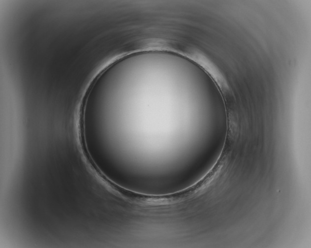 X0000102271142200807251344