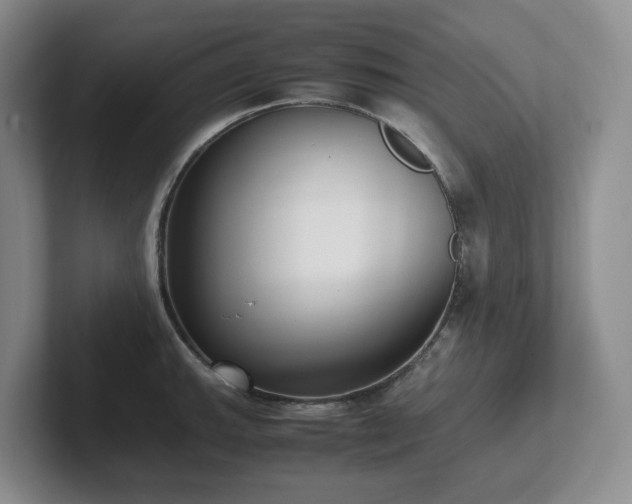 X0000102271143200807251344