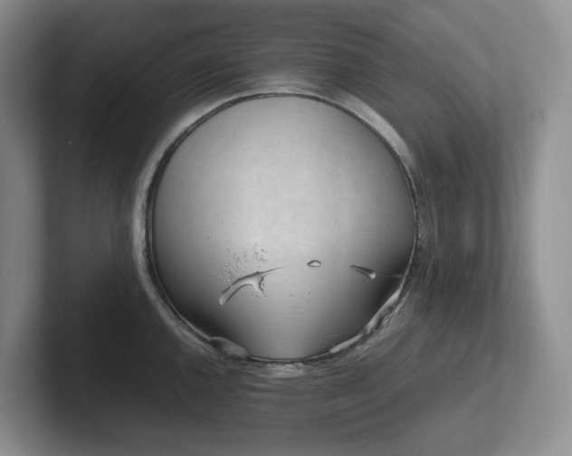 X0000102271144200807251344