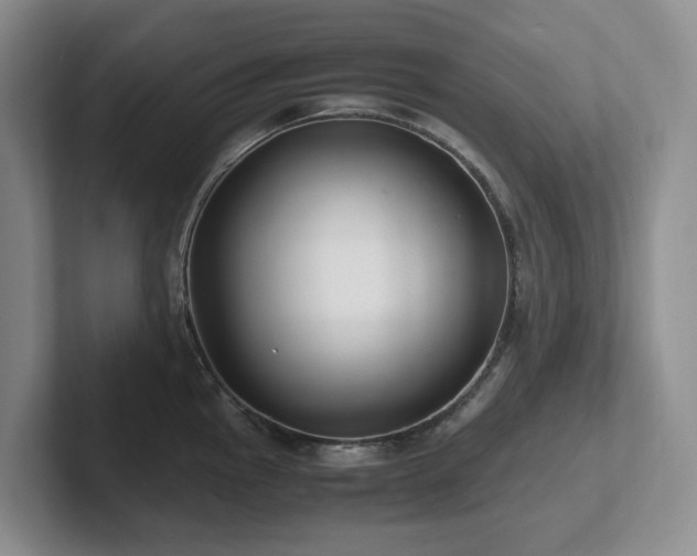 X0000102271145200807251344