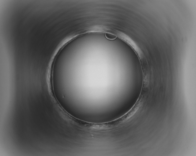 X0000102271146200807251344