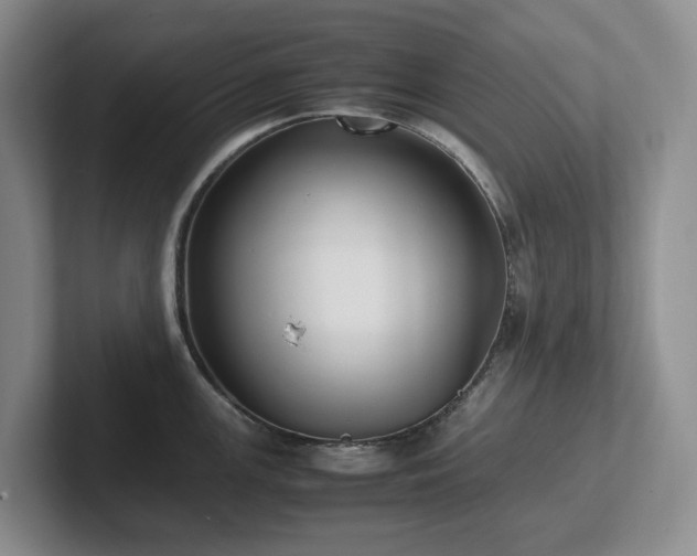 X0000102271147200807251344