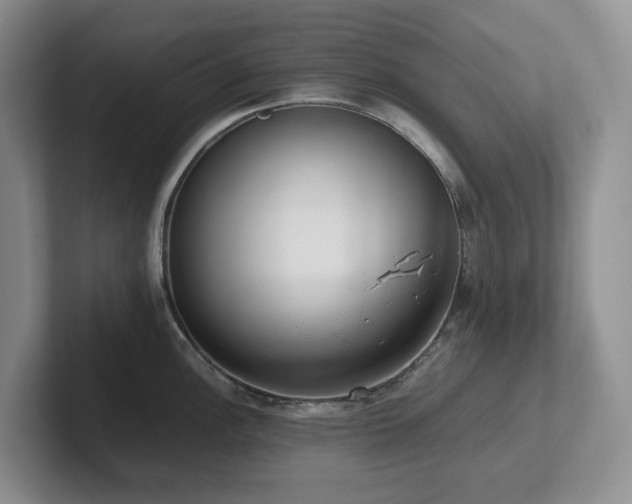 X0000102271148200807251344