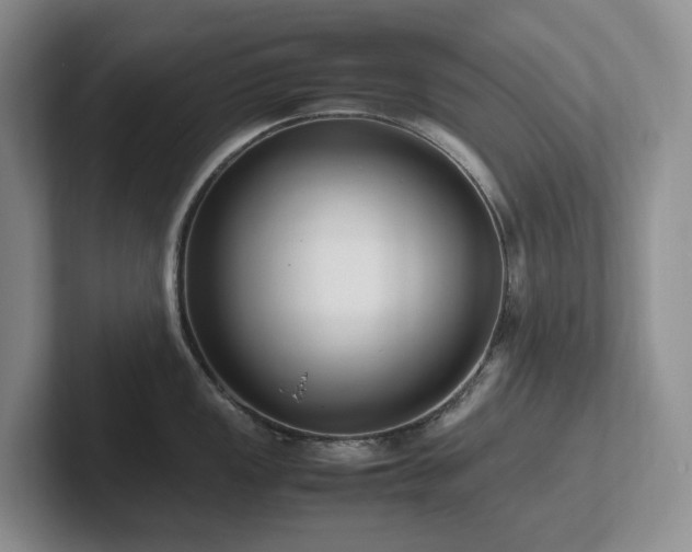 X0000102271149200807251344