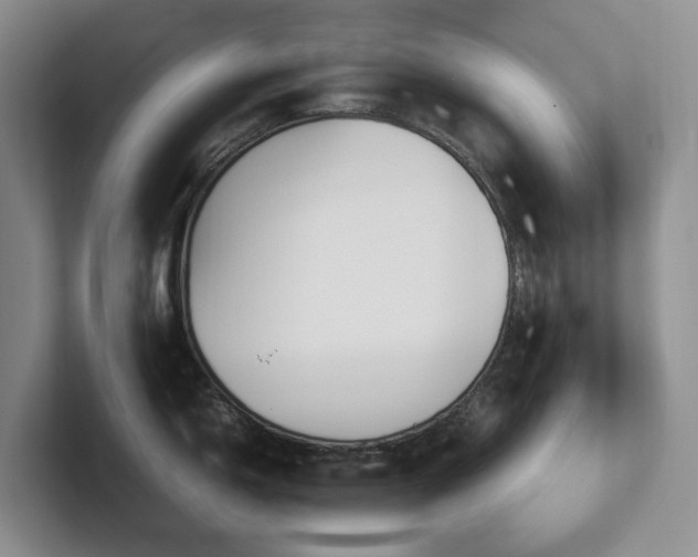 X0000102271150200807251344