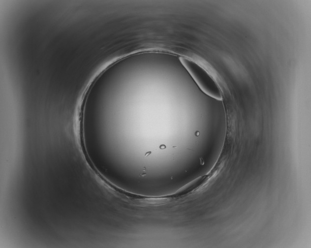 X0000102271151200807251344