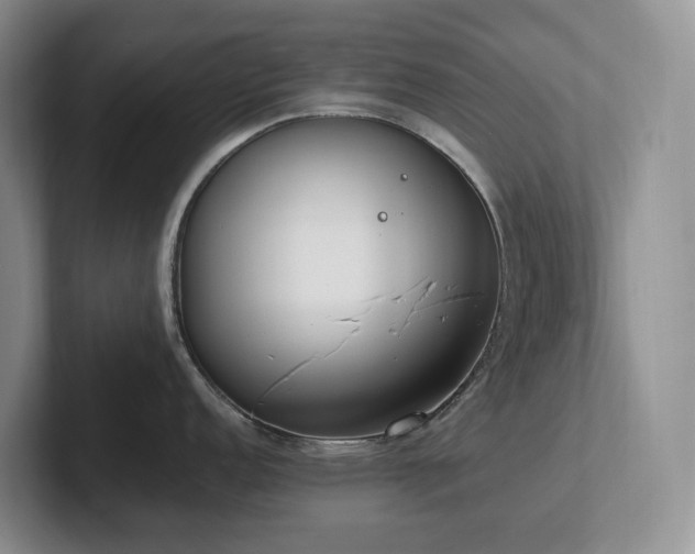 X0000102271152200807251344