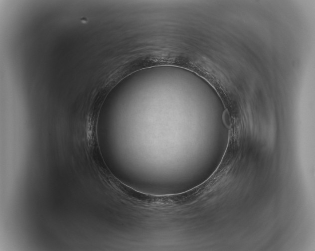 X0000102271154200807251344