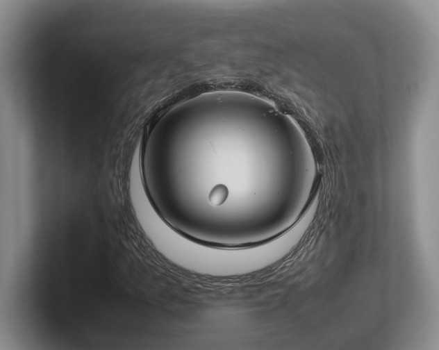 X0000102271157200807251343