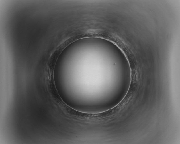 X0000102271158200807251343