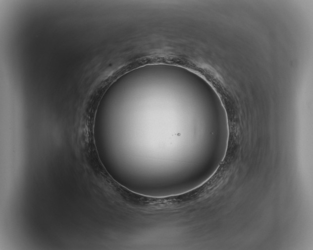 X0000102271159200807251343