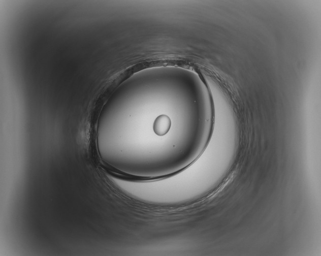 X0000102271161200807251343