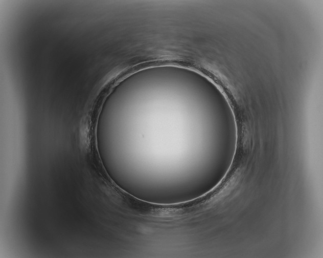 X0000102271163200807251343