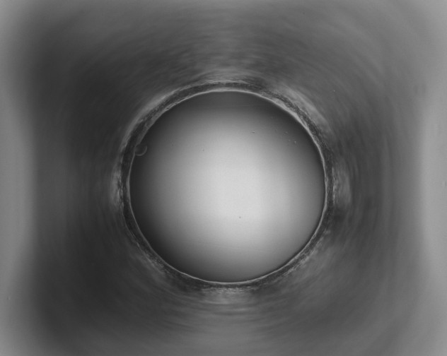 X0000102271164200807251343