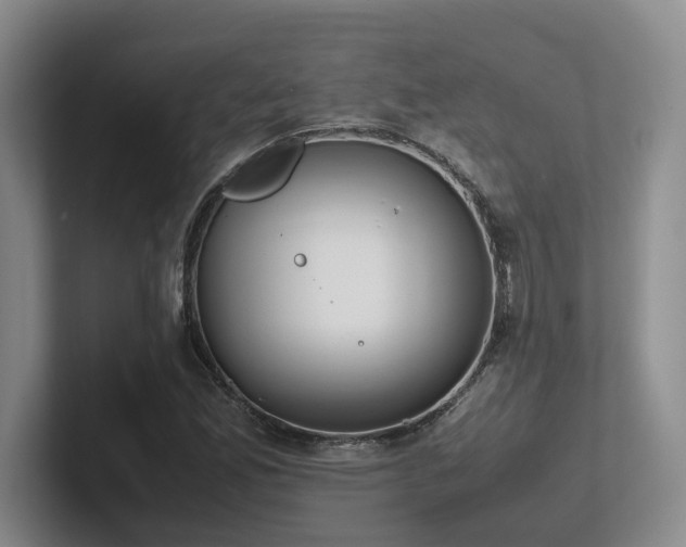 X0000102271165200807251343