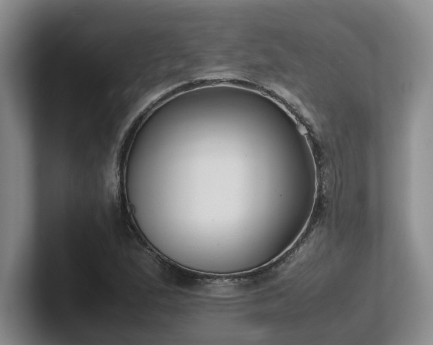 X0000102271167200807251343