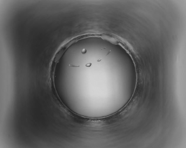 X0000102271168200807251343