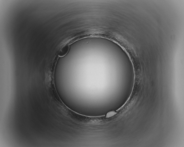 X0000102271169200807251343