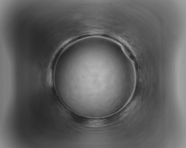 X0000102271171200807251343