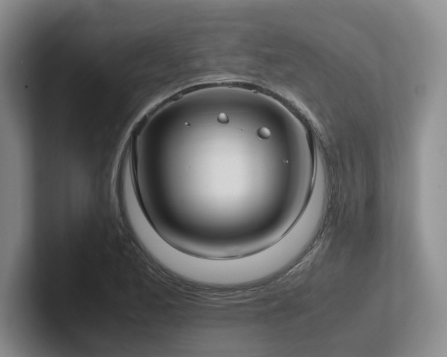 X0000102271173200807251343
