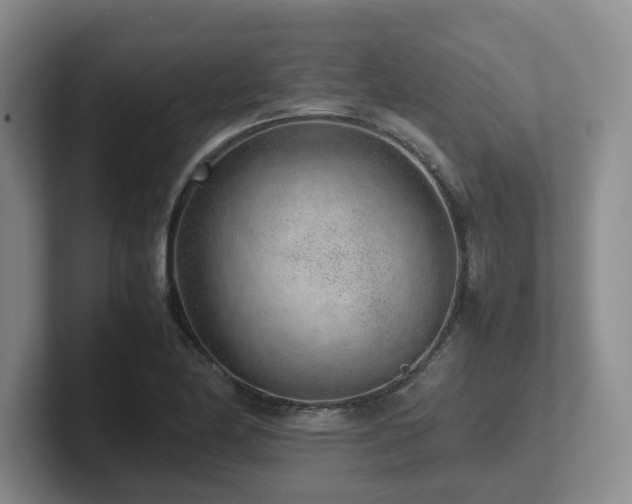 X0000102271174200807251343