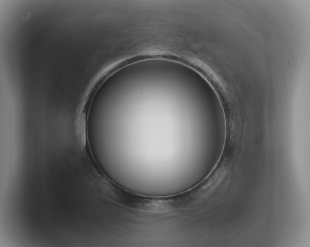 X0000102271175200807251343