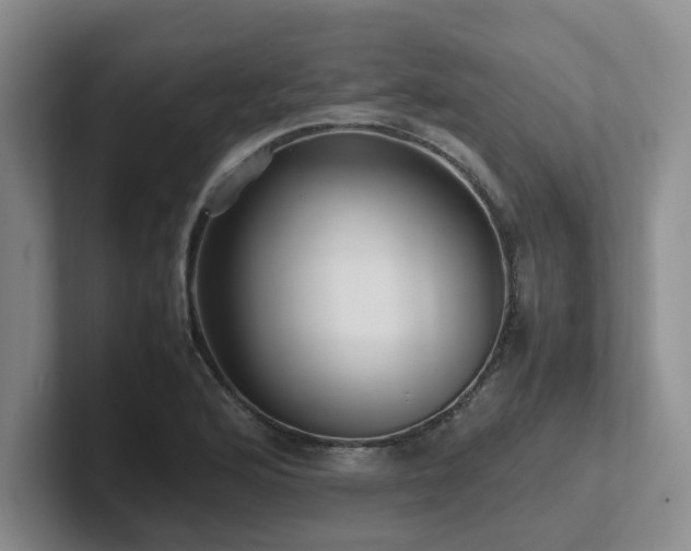 X0000102271176200807251343