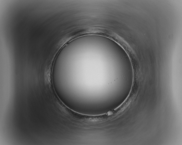 X0000102271177200807251343