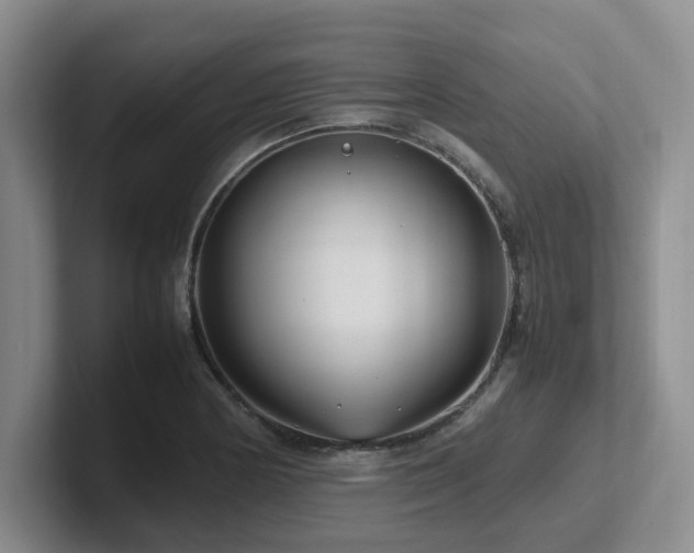 X0000102271178200807251343