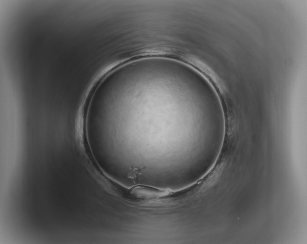X0000102271179200807251343