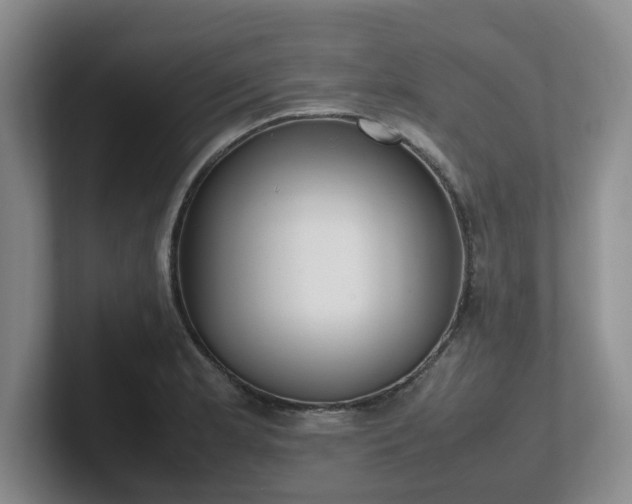 X0000102271181200807251343