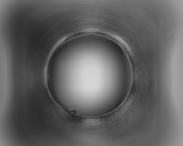 X0000102271183200807251343