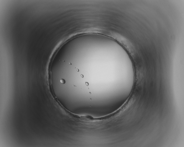 X0000102271184200807251343