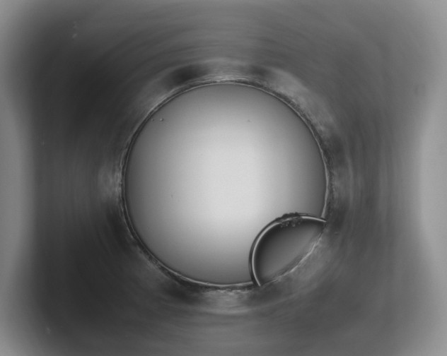 X0000102271185200807251343
