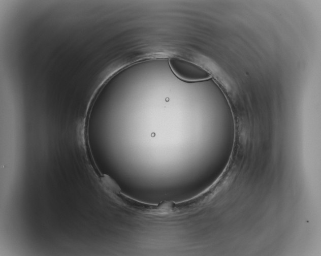 X0000102271186200807251343