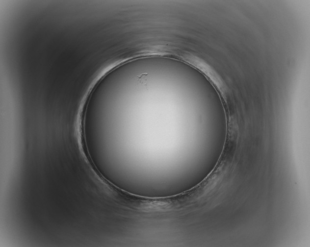 X0000102271187200807251343