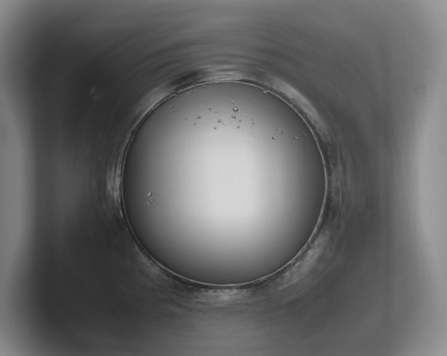 X0000102271193200807251343