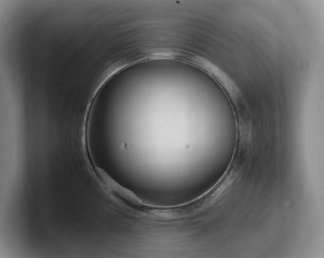 X0000102271194200807251343