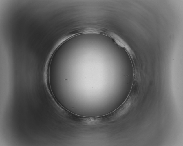X0000102271195200807251343