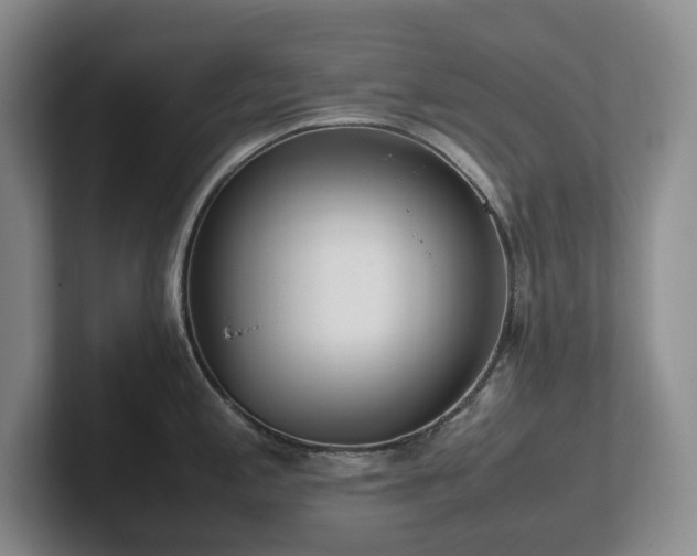 X0000102271197200807251343