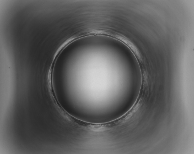 X0000102271198200807251343