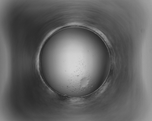 X0000102271199200807251343