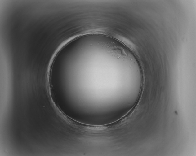 X0000102271200200807251343
